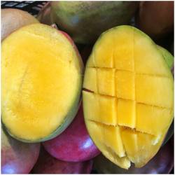 Mango Palmer