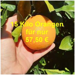 Saft Orangen   