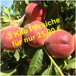 Frische rote Pfirsiche 