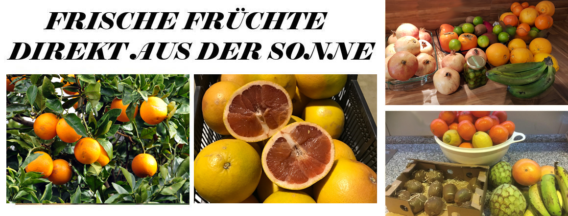 Angebote